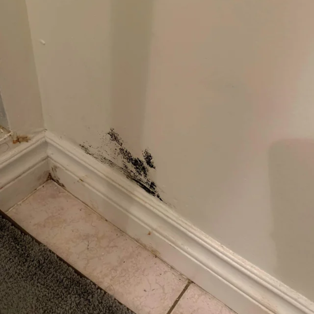 Image of a room corner showing the lower part of two walls and the floor, with black mold growth along the baseboard and lower wall area, against a backdrop of light-colored walls and speckled marble-like tiles